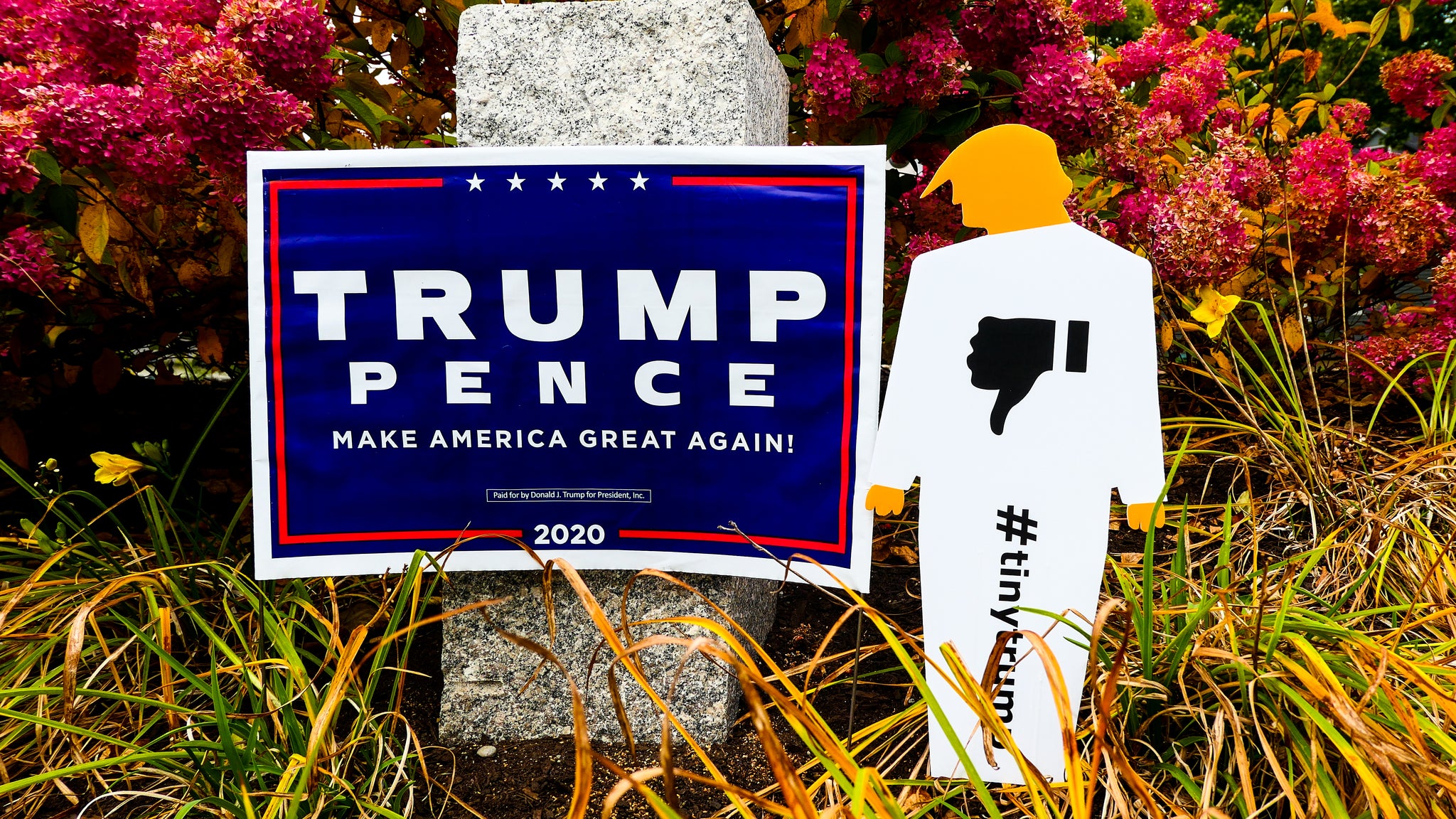 two foot tall tiny trump lawn sign (white coroplast trump cutout with orange head and hands) with a thumbs down sign in the chest standing next to a large trump/pence sign in a floral garden